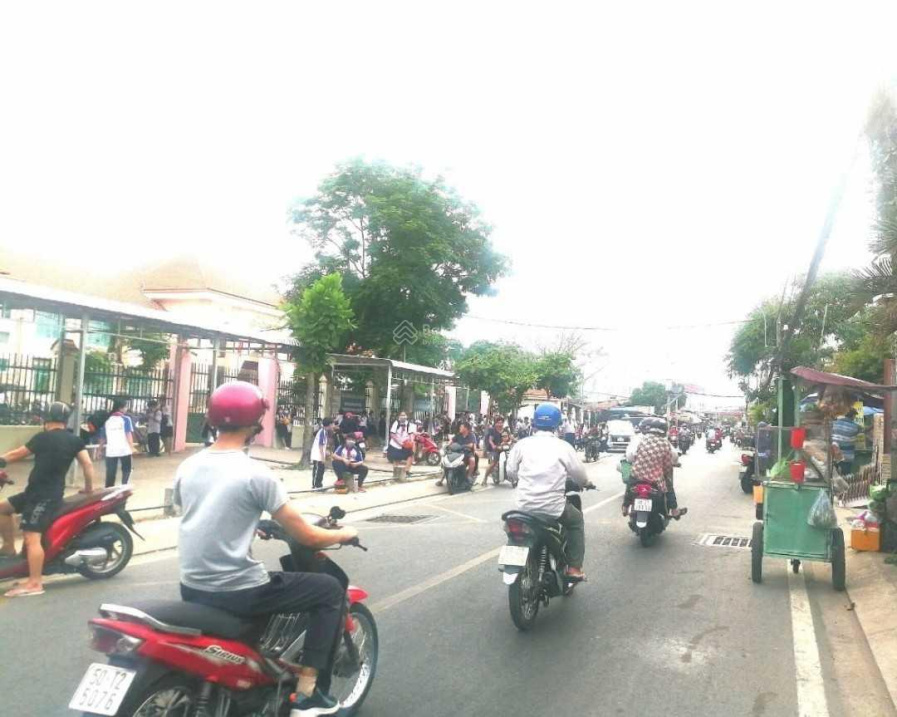 4006269 ảnh đại diện 1