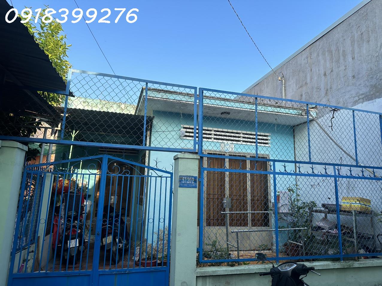 4007962 ảnh đại diện 1
