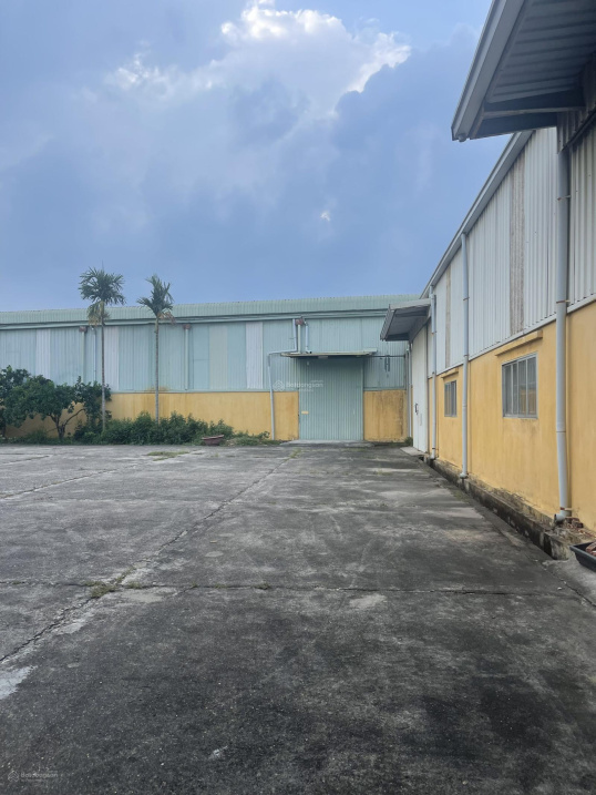 4005769 ảnh đại diện 1