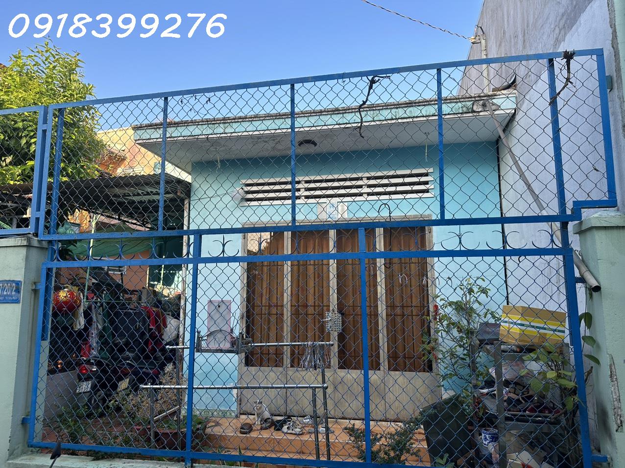 4007962 ảnh đại diện 2