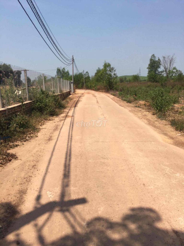 4004893 ảnh đại diện 1