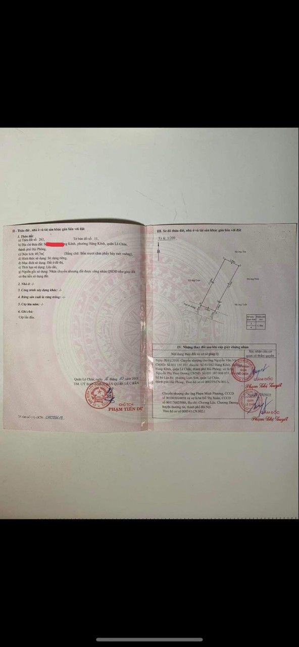 4007667 ảnh đại diện 2