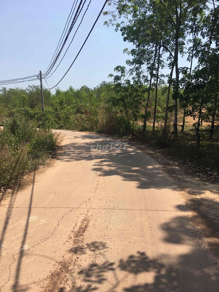 4004893 ảnh đại diện 1