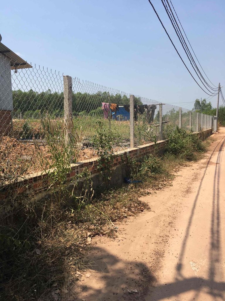 4004893 ảnh đại diện 2