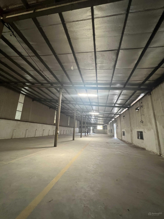 4005781 ảnh đại diện 1