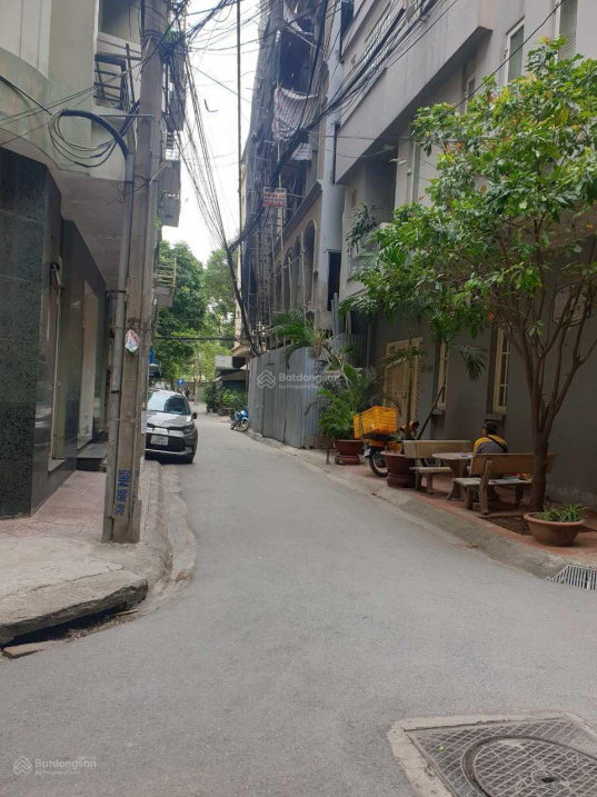 4006789 ảnh đại diện 1