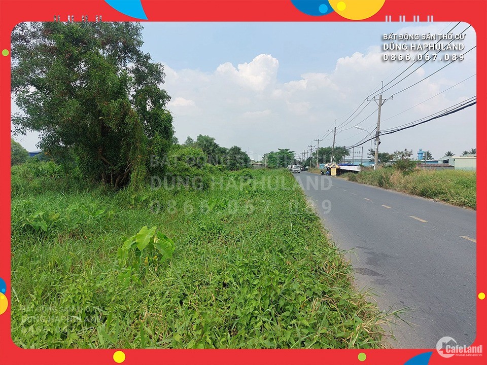 4008745 ảnh đại diện 1