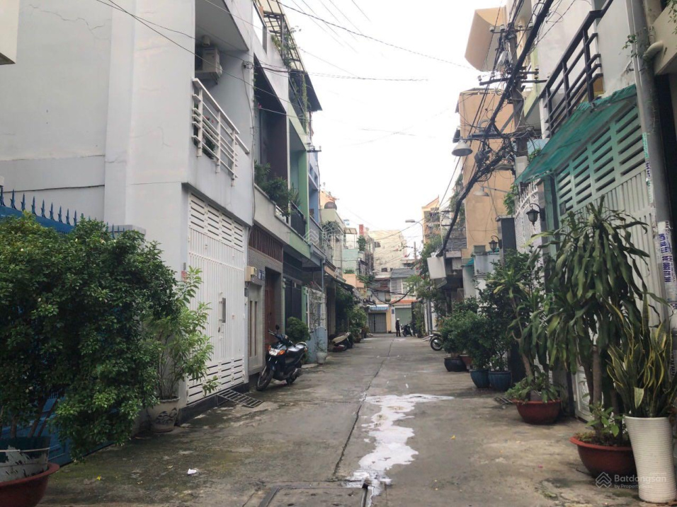 4006705 ảnh đại diện 1