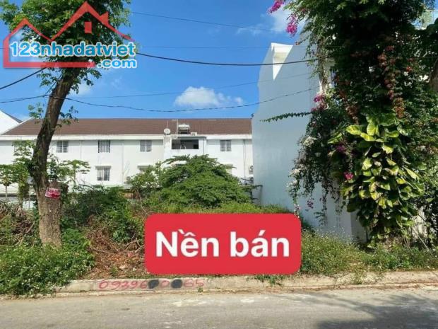 4005481 ảnh đại diện 1