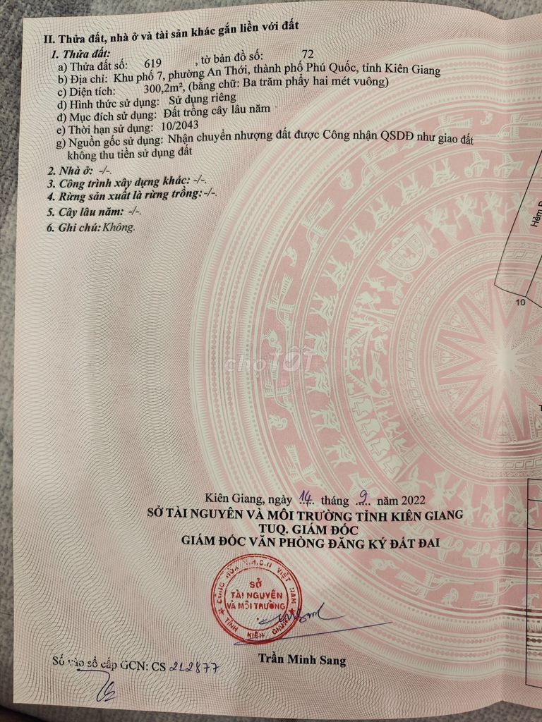 4008322 ảnh đại diện 1