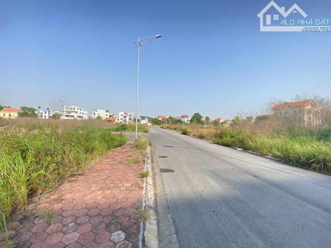 4005171 ảnh đại diện 1