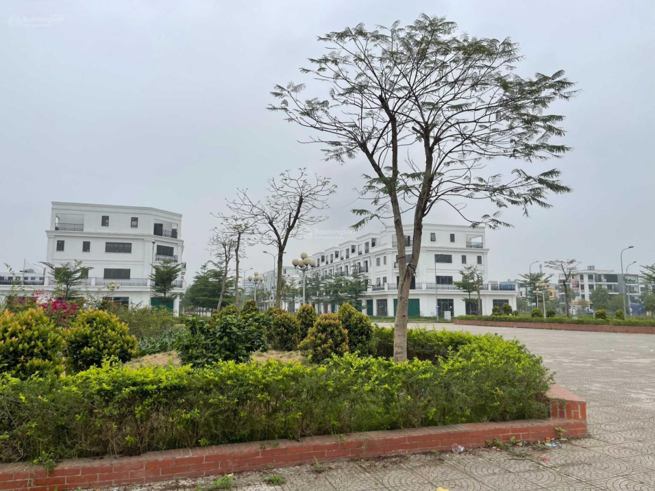 4007698 ảnh đại diện 1
