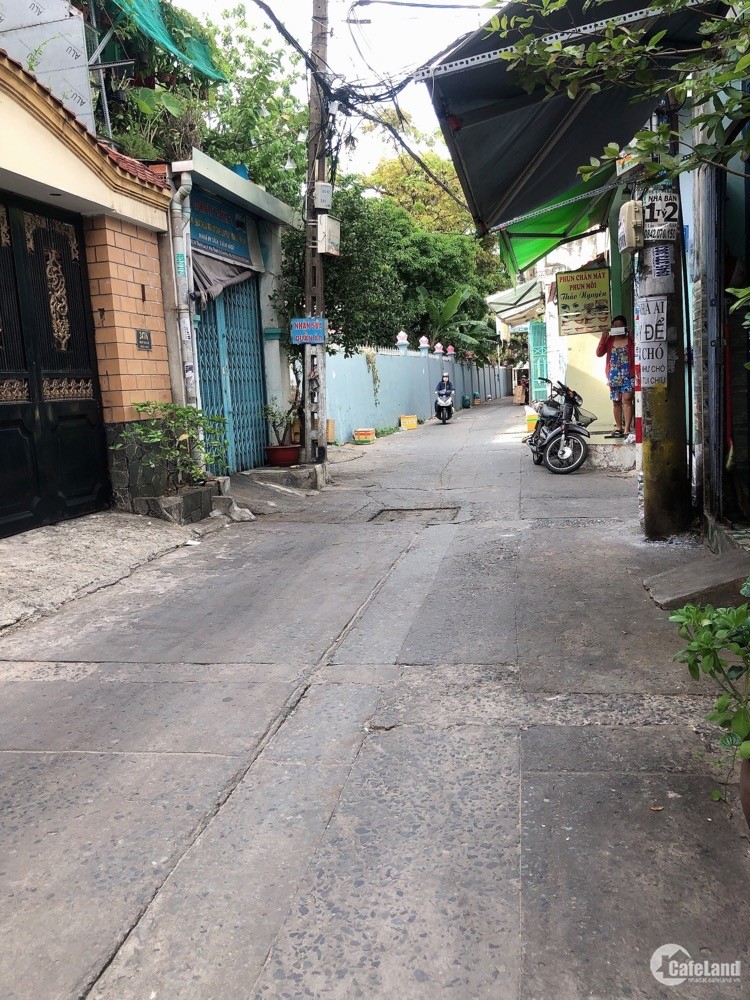 4008604 ảnh đại diện 1