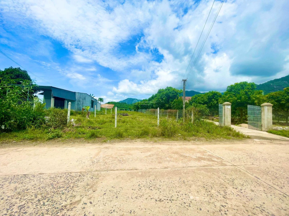 4008100 ảnh đại diện 1