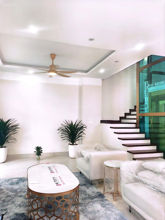 4006552 ảnh đại diện 1