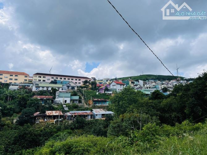 4009828 ảnh đại diện 2
