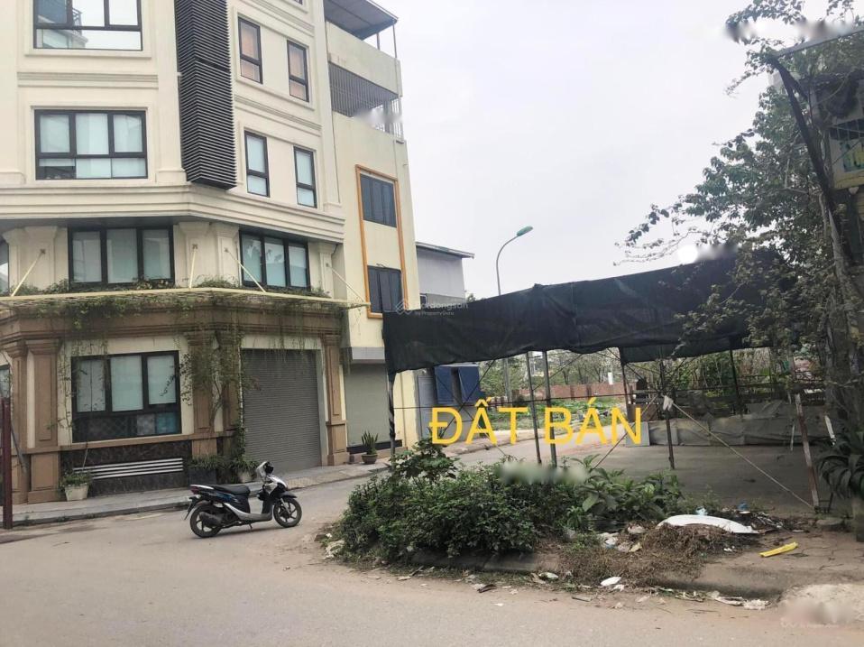 4012582 ảnh đại diện 1