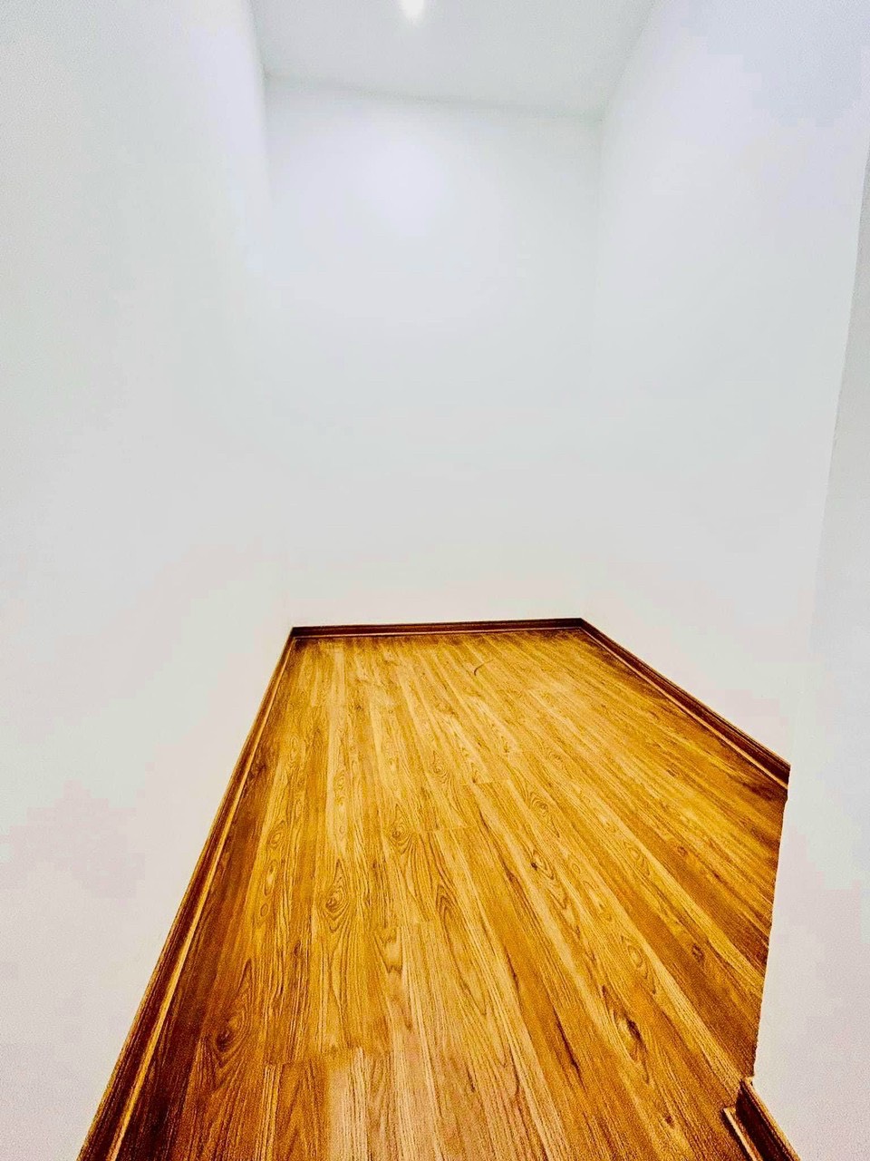 4009929 ảnh đại diện 1