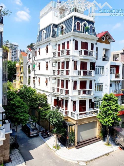 4009857 ảnh đại diện 1