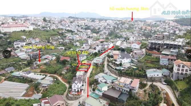 4009050 ảnh đại diện 2