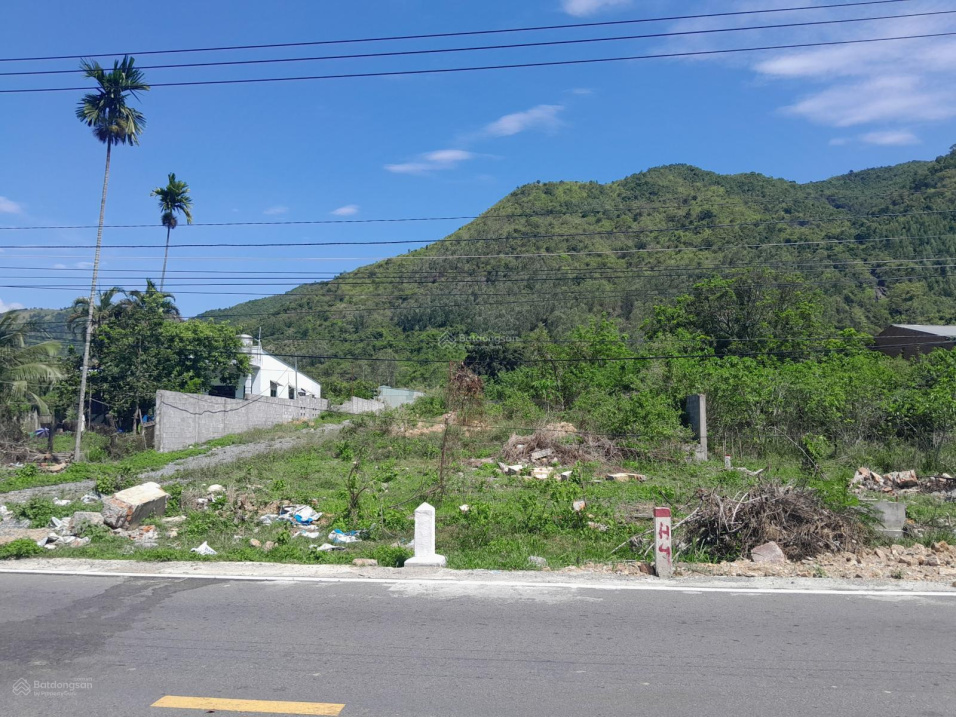 4010984 ảnh đại diện 2
