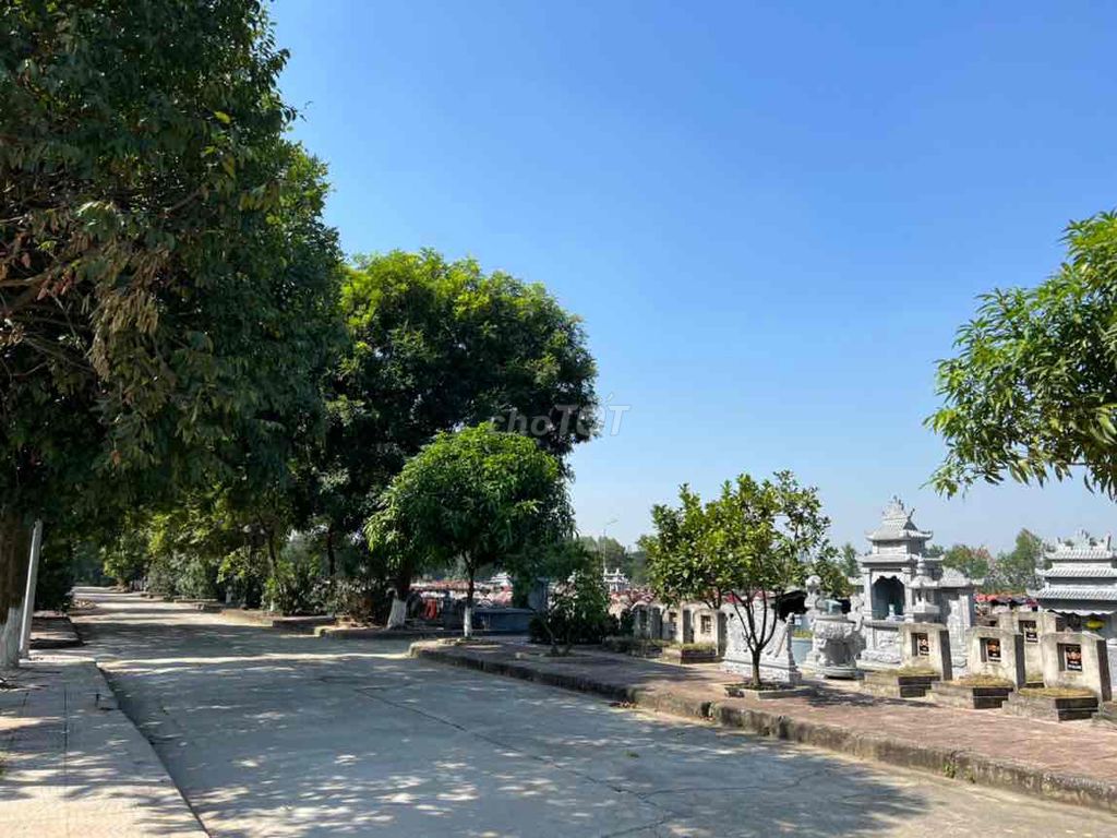 4010978 ảnh đại diện 1
