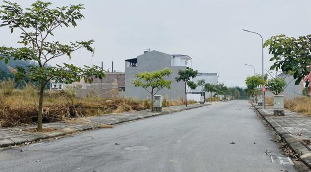 4009418 ảnh đại diện 1