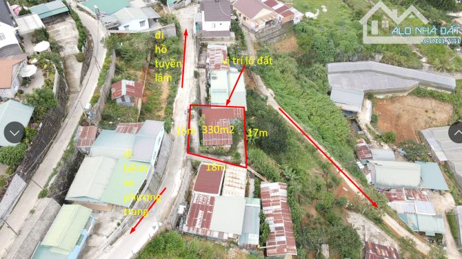 4009050 ảnh đại diện 1