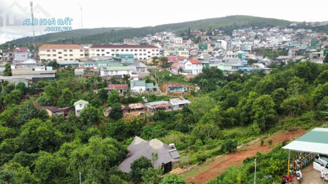 4009840 ảnh đại diện 1