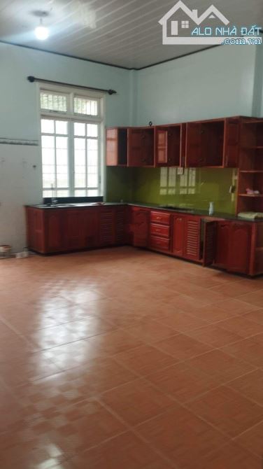 4009833 ảnh đại diện 2