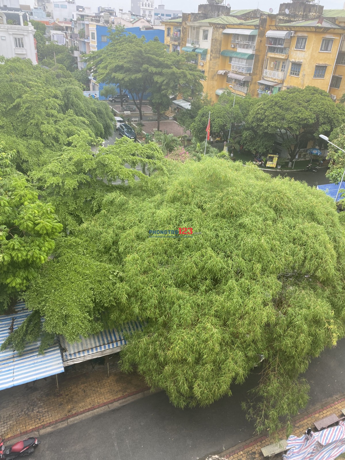 4010019 ảnh đại diện 1