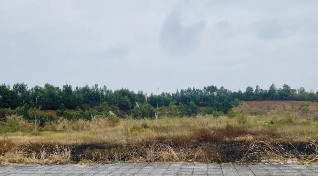 4009418 ảnh đại diện 2