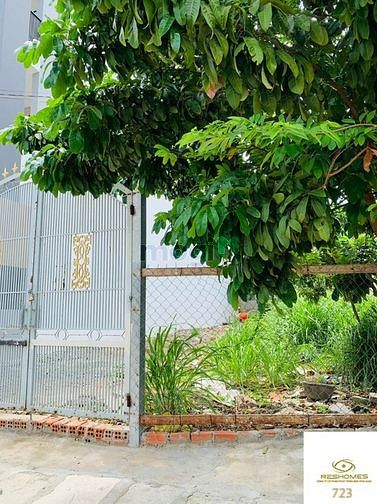 4010530 ảnh đại diện 1