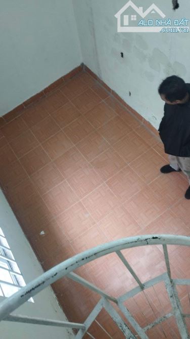 4009833 ảnh đại diện 1