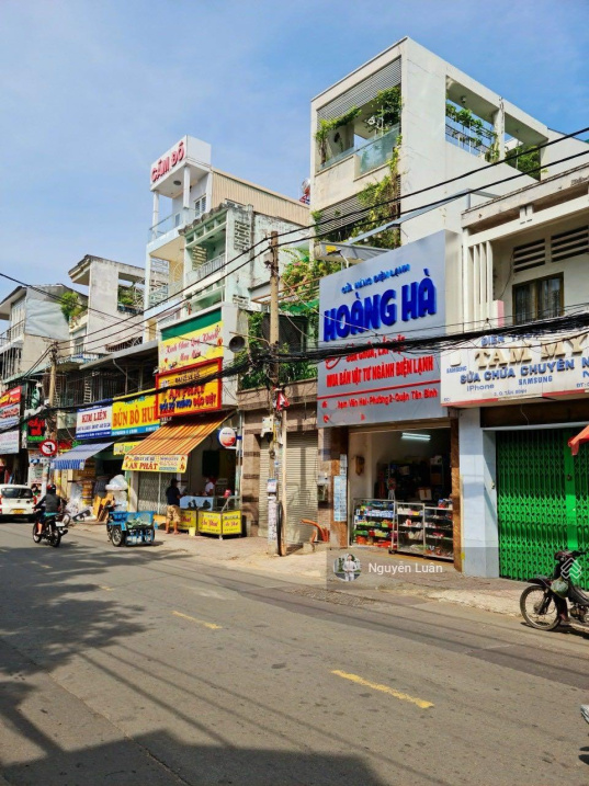 4009541 ảnh đại diện 2