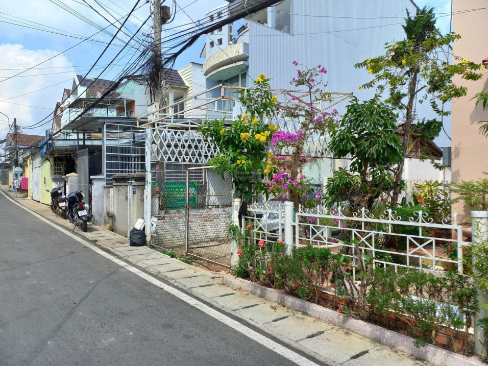 4011374 ảnh đại diện 1