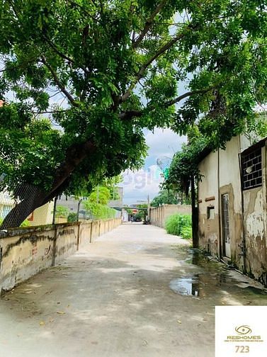 4010530 ảnh đại diện 1