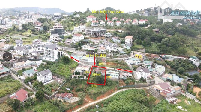 4009050 ảnh đại diện 1