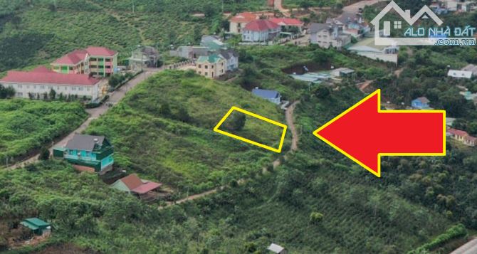 4009829 ảnh đại diện 1