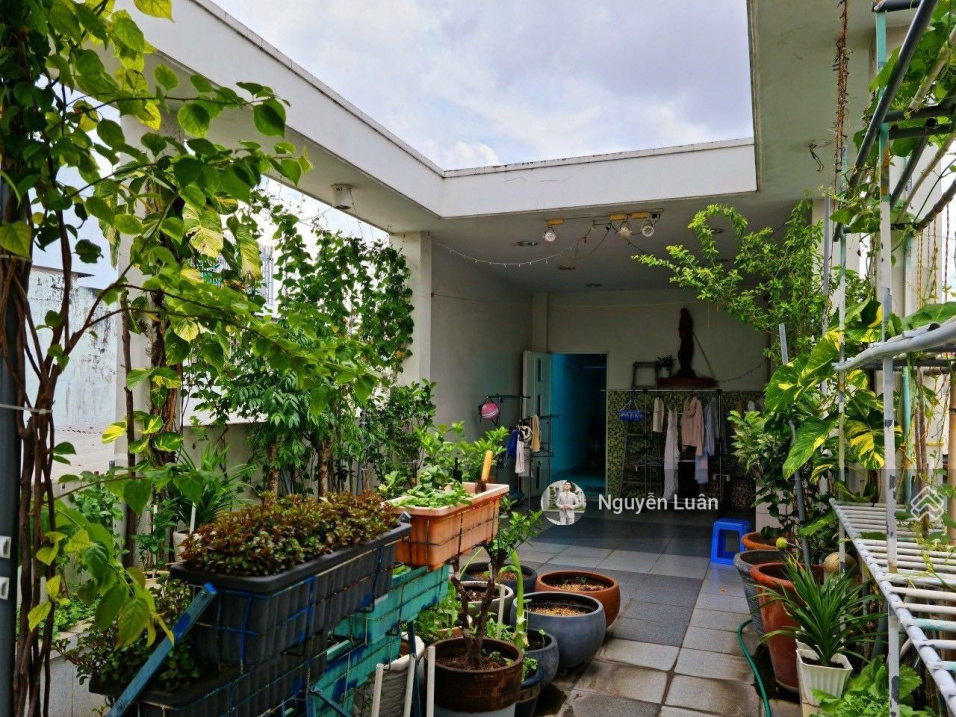 4009541 ảnh đại diện 1