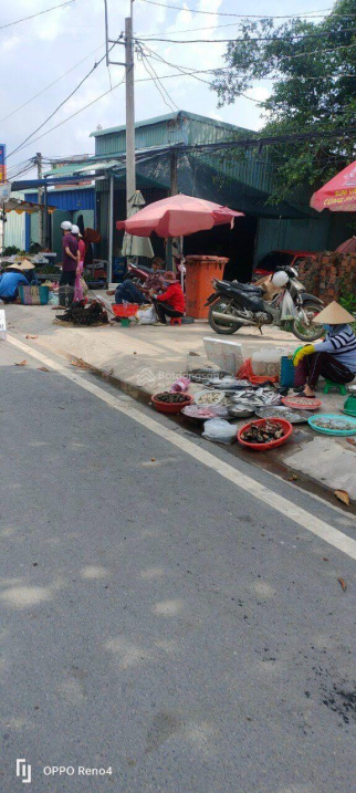 4014919 ảnh đại diện 2