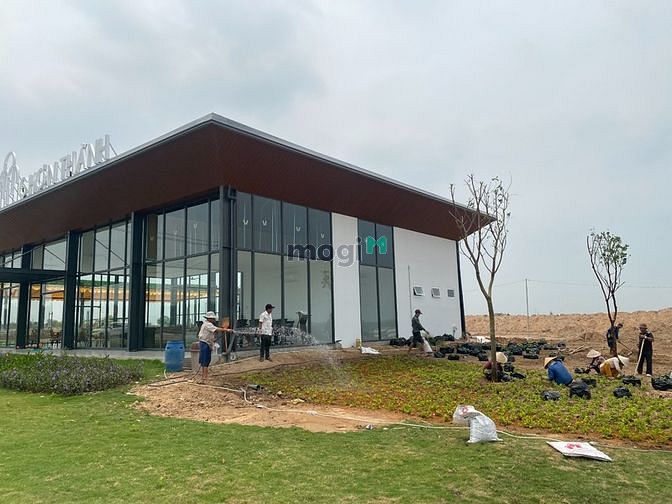 4014306 ảnh đại diện 1