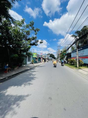 4016571 ảnh đại diện 1