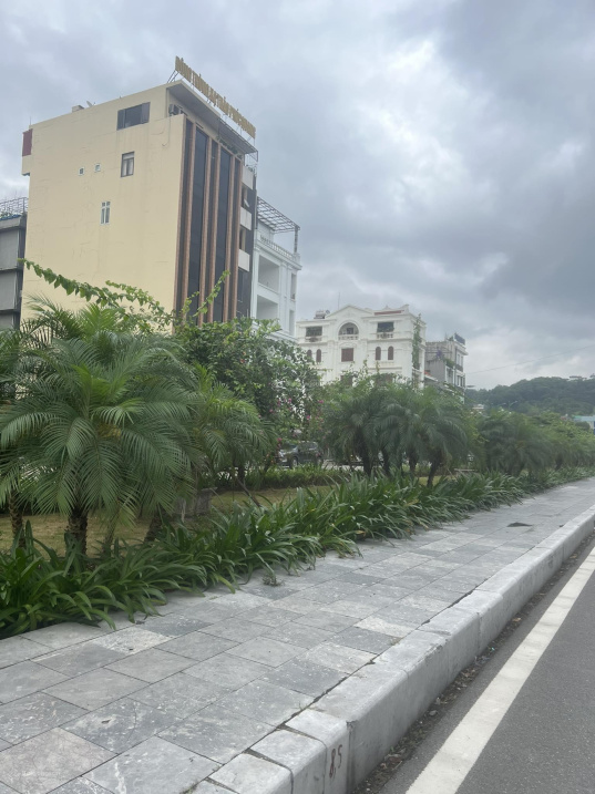 4013902 ảnh đại diện 1