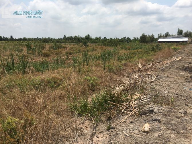 4013474 ảnh đại diện 1
