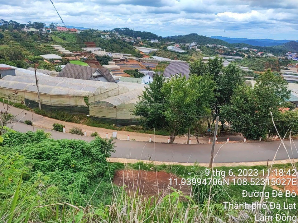 4016580 ảnh đại diện 1