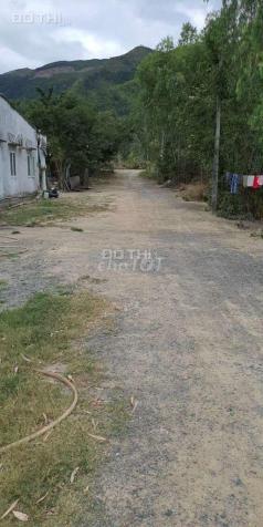4014128 ảnh đại diện 1