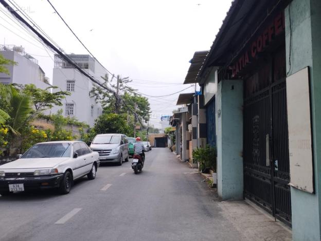 4016593 ảnh đại diện 1