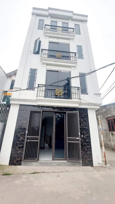 4013314 ảnh đại diện 1