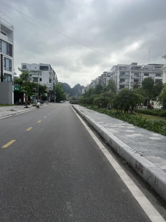 4013902 ảnh đại diện 1